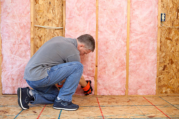 Best Garage Insulation Installation  in Ormond Beach, FL